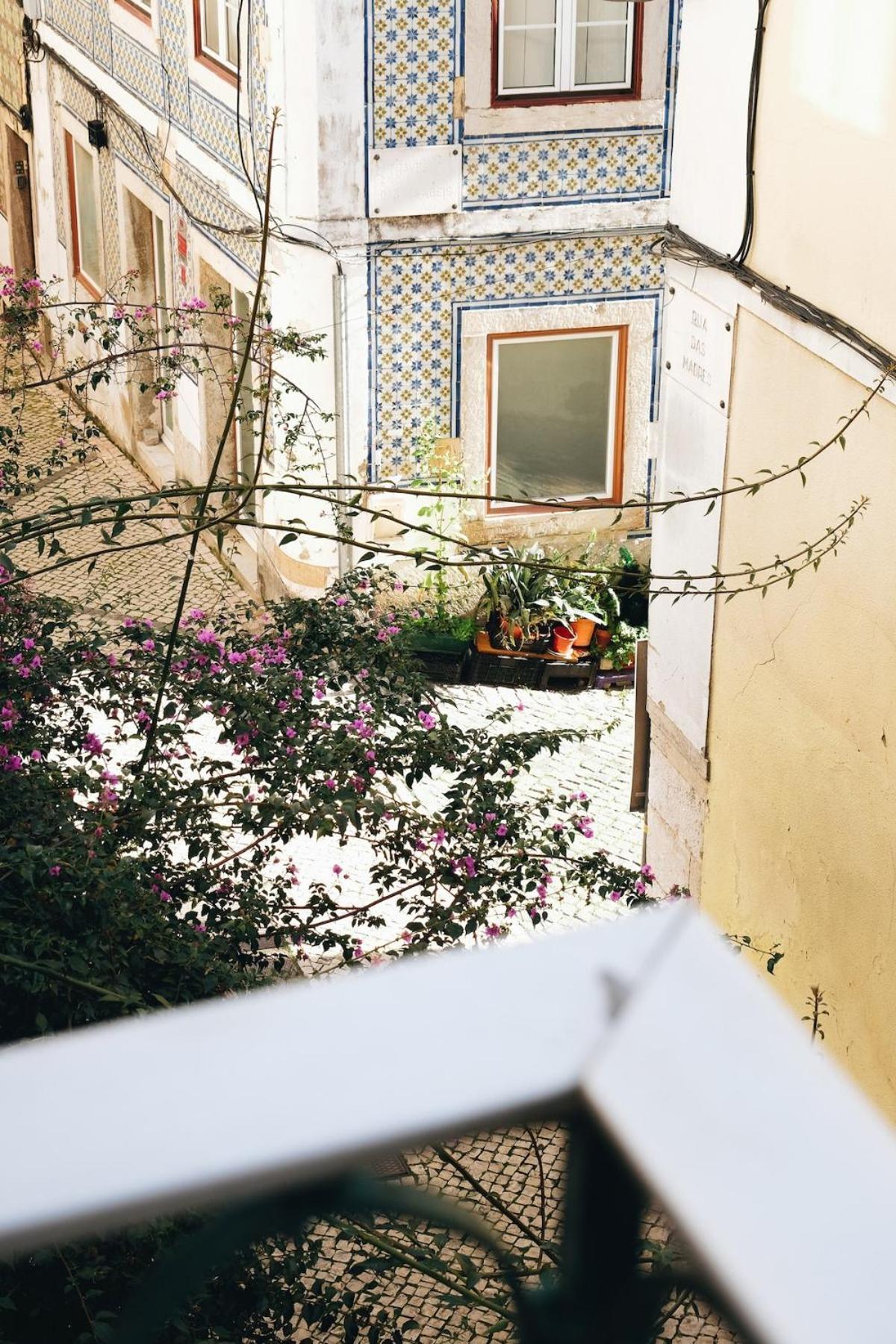 Apartment New - Swallow's Garden *